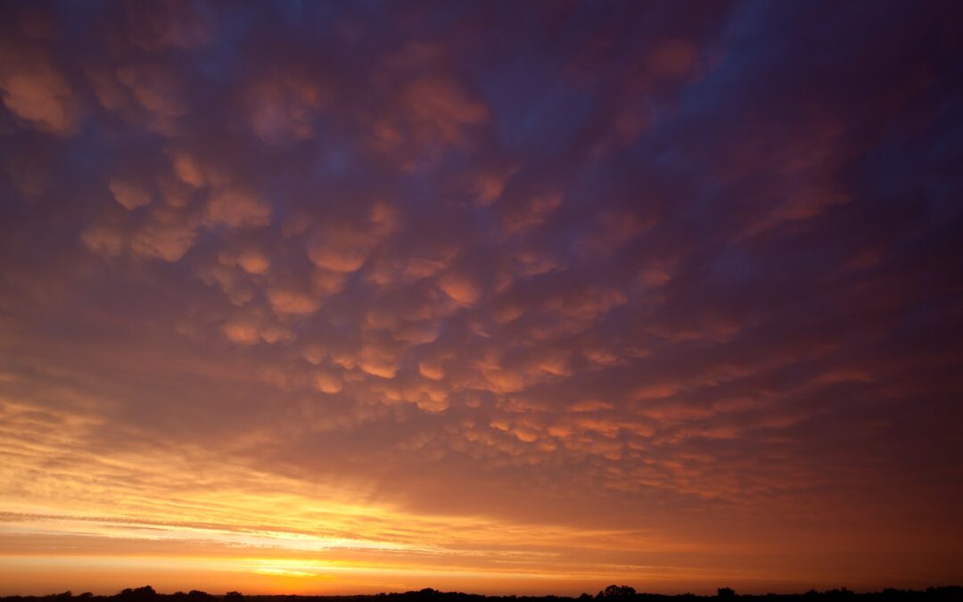 Circular economy in the Adriatic – BIO-BASED