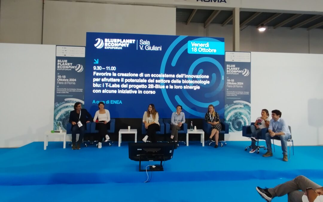 Second physical meeting of 2B-BLUE’s partners and Steering Committee