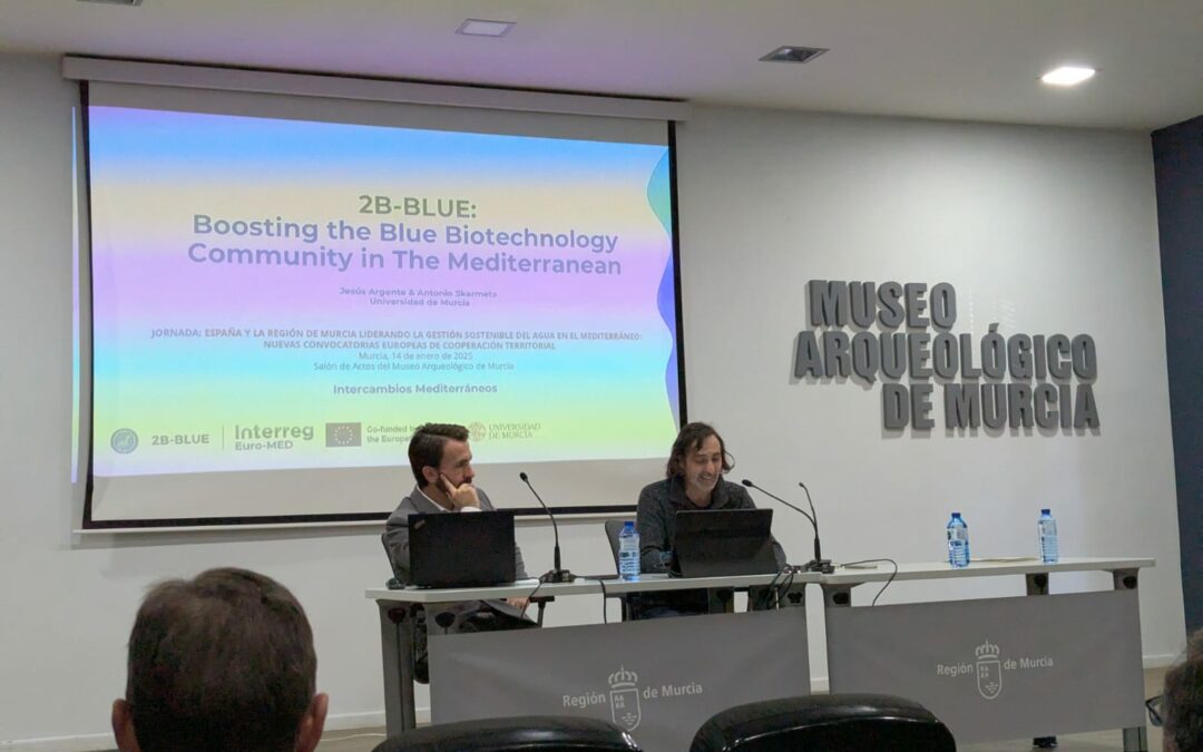 Demo Site in Alicante Port