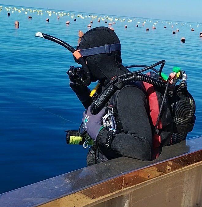 Co-cultivation in Slovenia