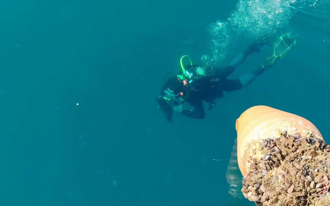 2B-BLUE Publications