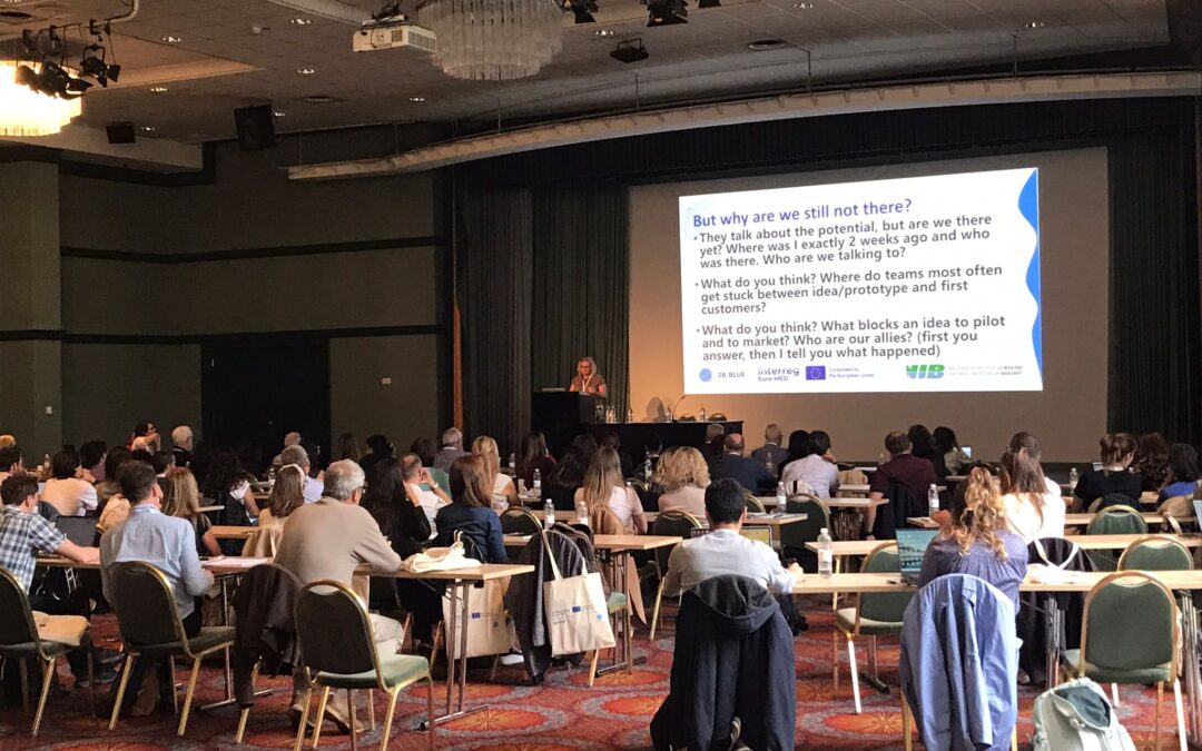 Partners Meeting and International T-Lab in Piran