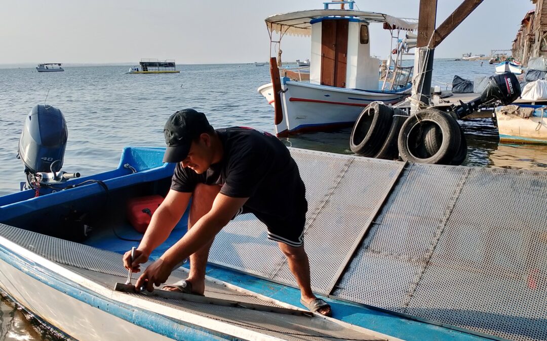 Implementation of the Greek Demonstration site