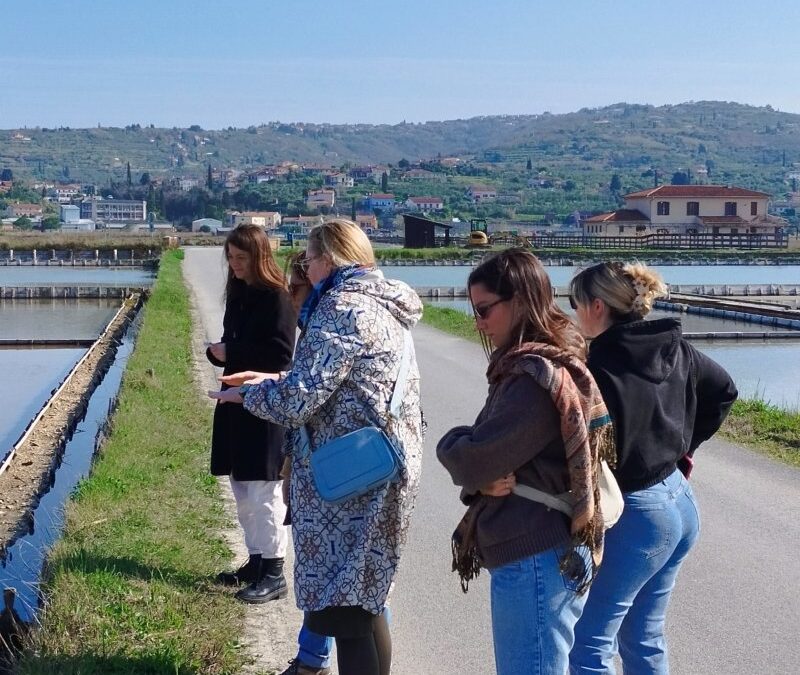 HCMR study visit to NIB