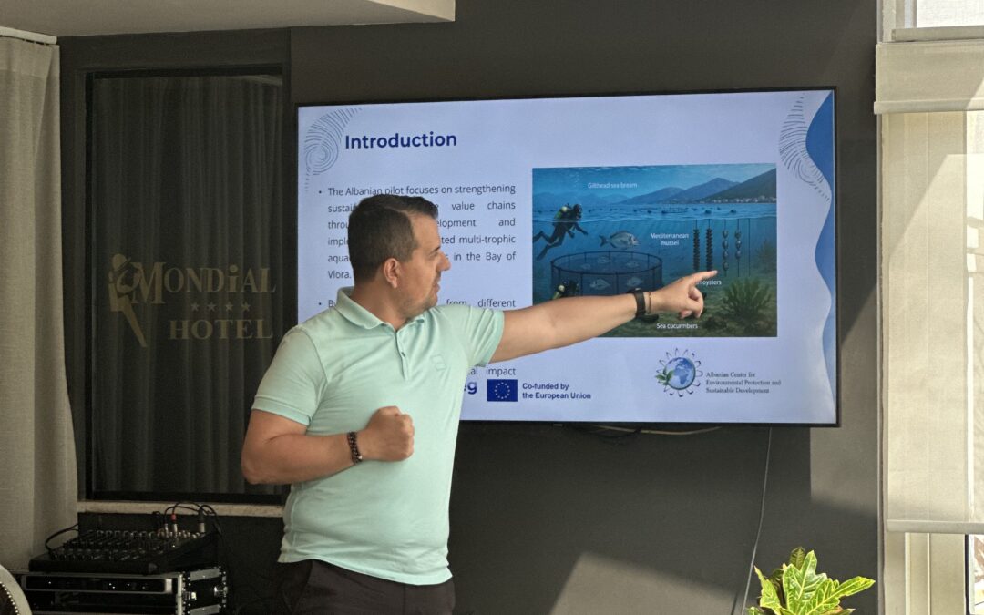 Third Albanian T-Lab