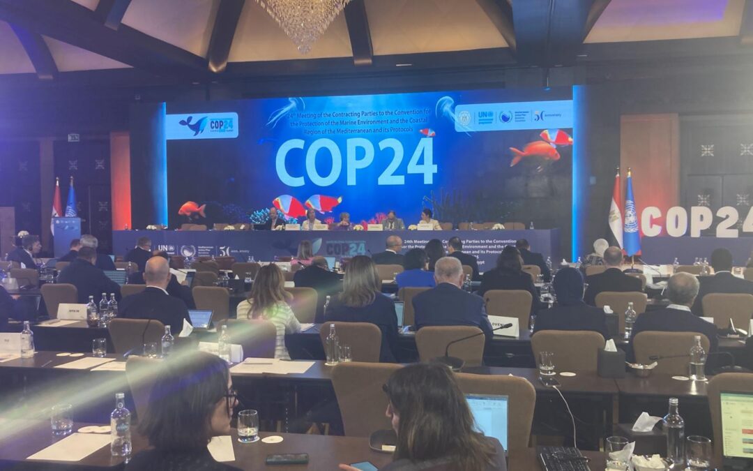 2B-BLUE at the COP24 in Cairo