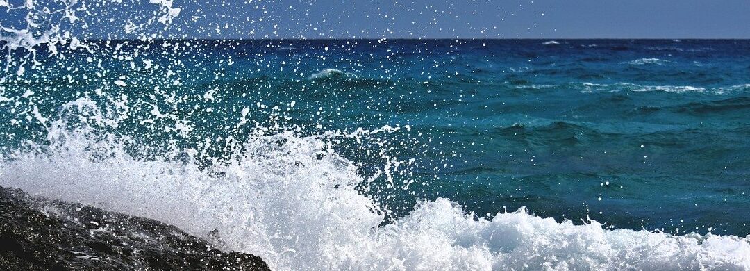 Upcoming MedBlueTech Summit 2025