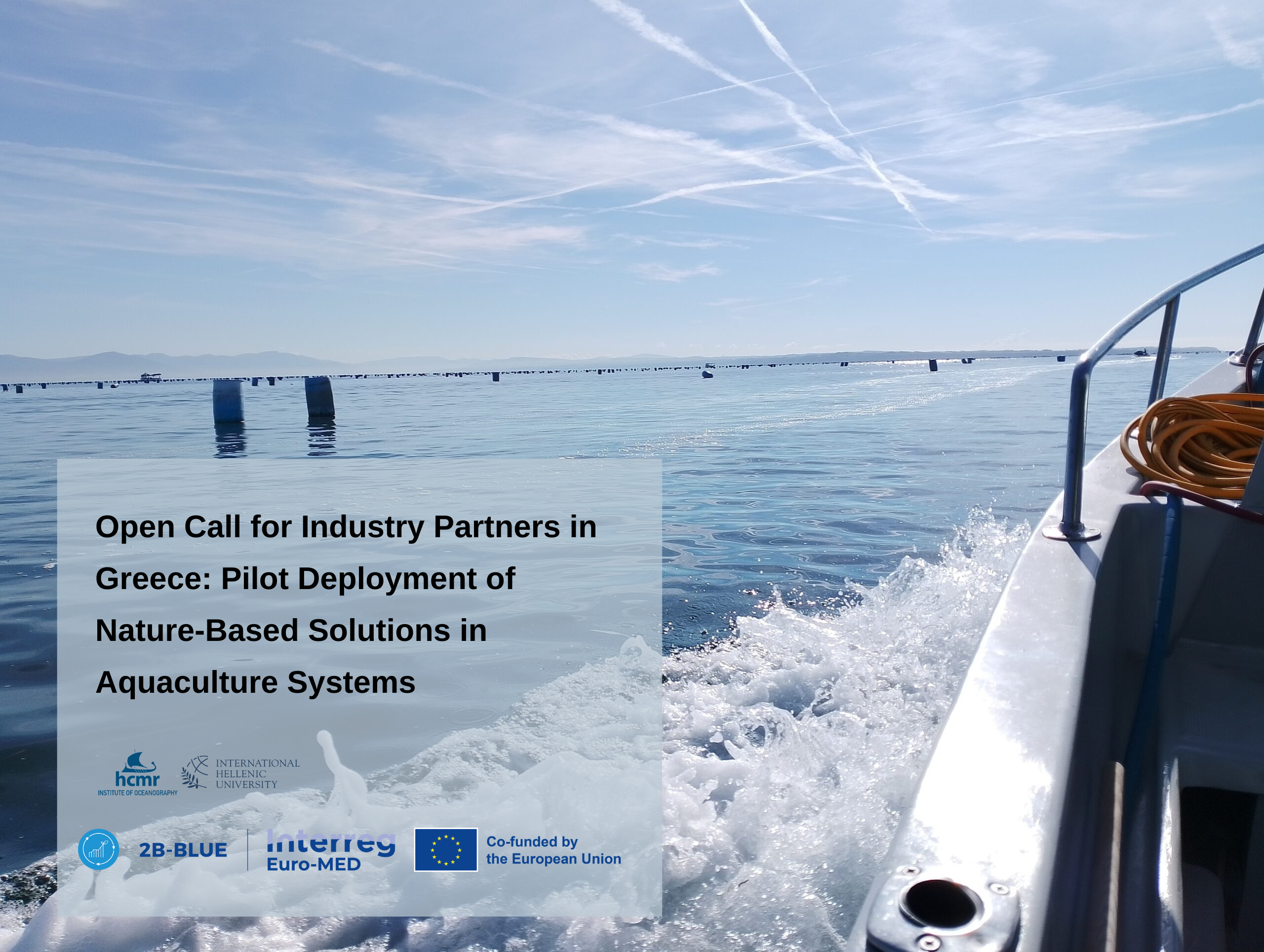 Algae leaves. By Peter de Lange - https://www.inaturalist.org/photos/49633469, CC0